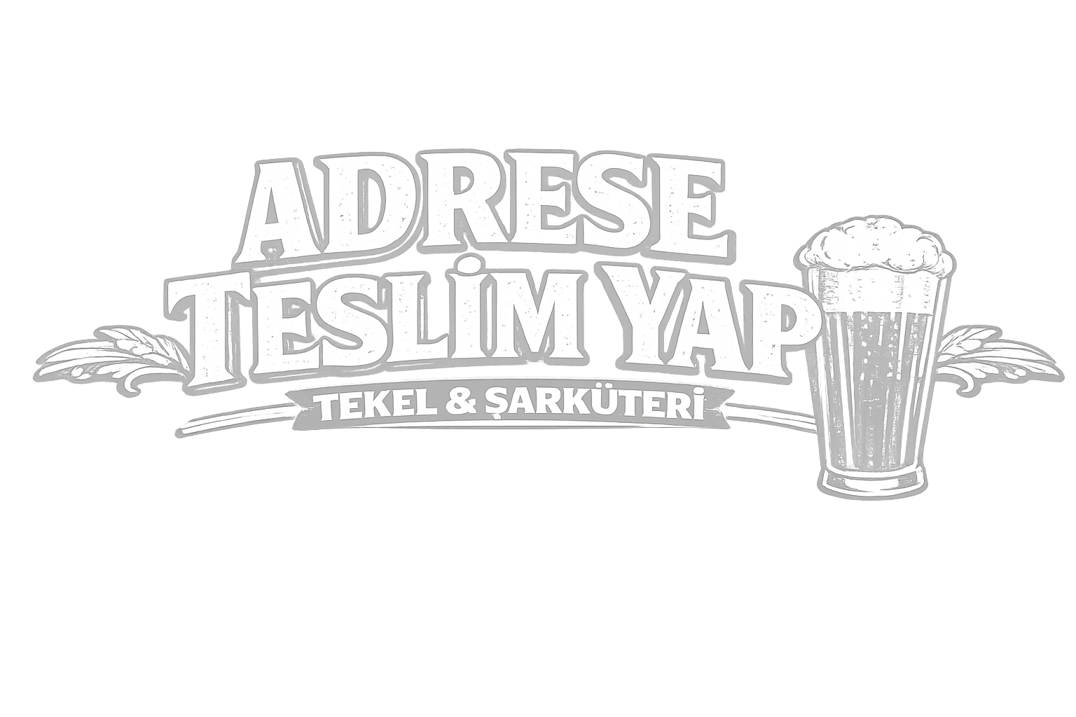 Anasayfa